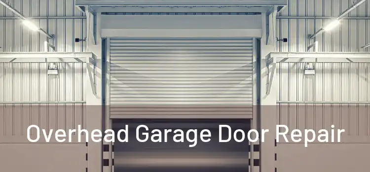  Overhead Garage Door Repair 
