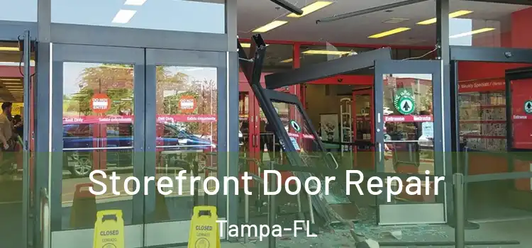  Storefront Door Repair Tampa-FL